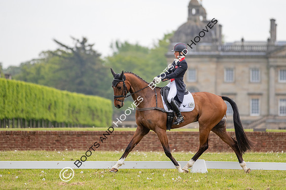 Houghton International
