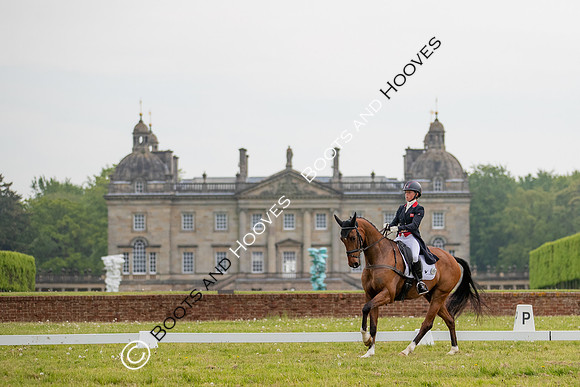 Houghton International
