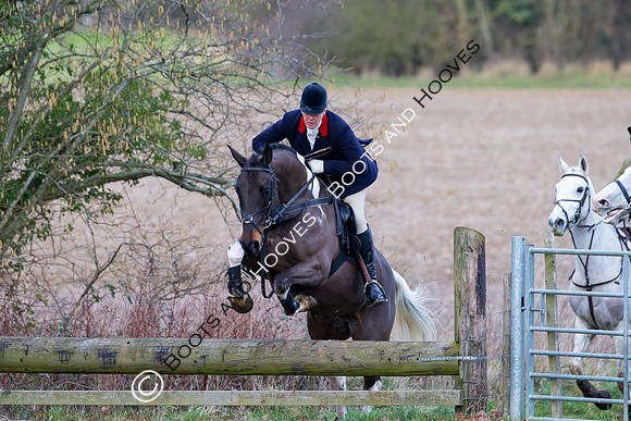 East Essex Hunt. Ladies Day. 29/01/2019 ~ MANDATORY Credit Elli Birch/Bootsandhooves - NO UNAUTHORISED USE - 07745 909676