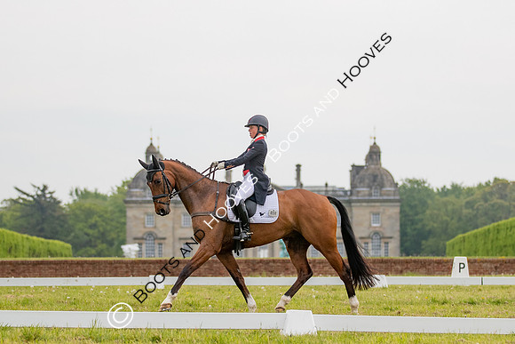 Houghton International