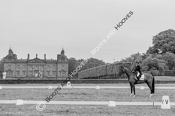 Houghton International