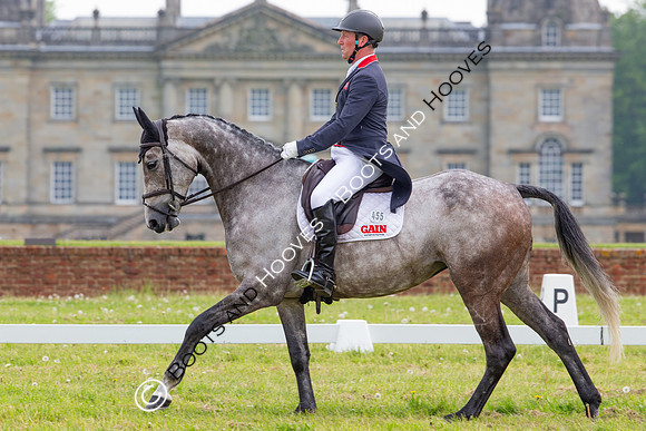 Houghton International