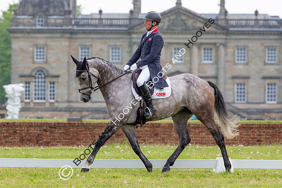 Houghton International