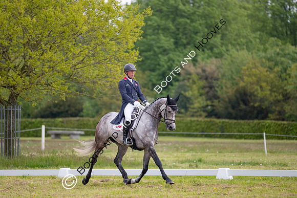 Houghton International