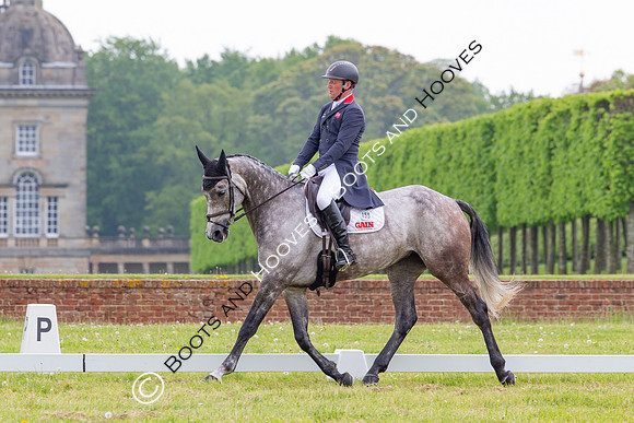 Houghton International