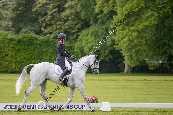 Houghton International