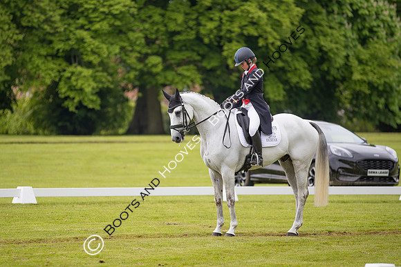 Houghton International