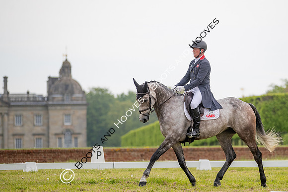 Houghton International