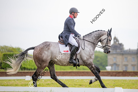 Houghton International