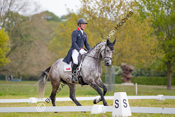 Houghton International