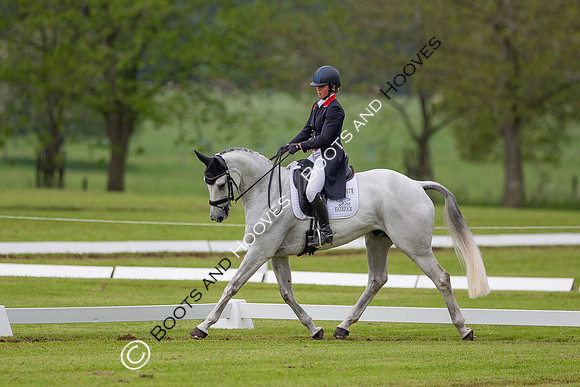 Houghton International