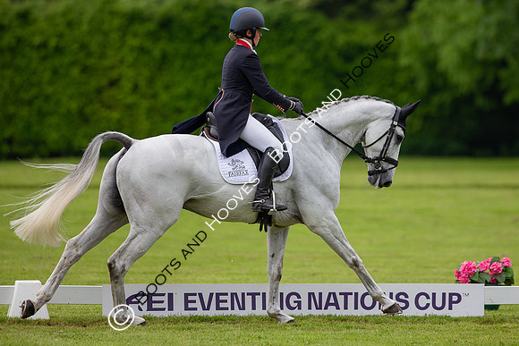 Houghton International