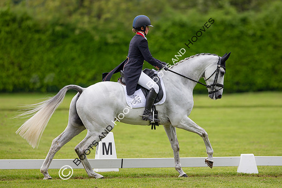 Houghton International