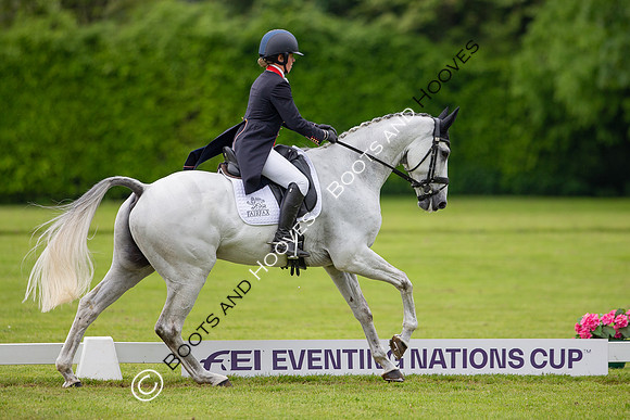 Houghton International