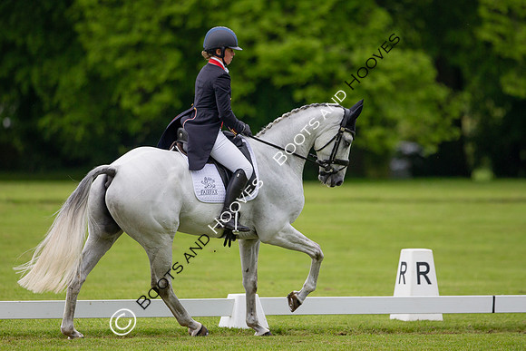 Houghton International