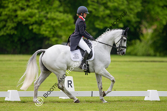 Houghton International