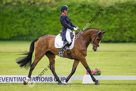 Houghton International