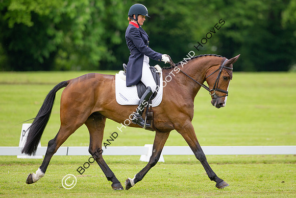 Houghton International
