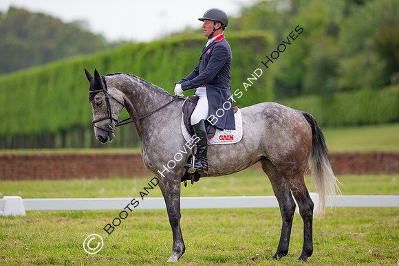Houghton International