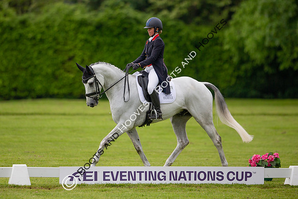 Houghton International