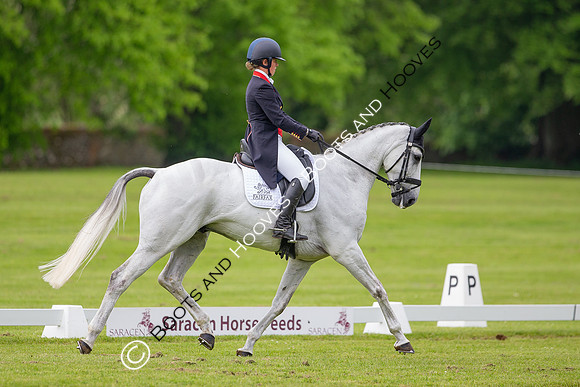 Houghton International
