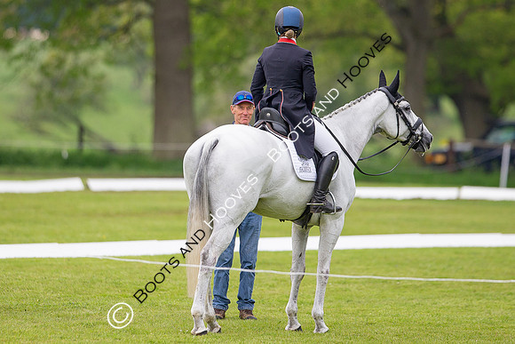 Houghton International