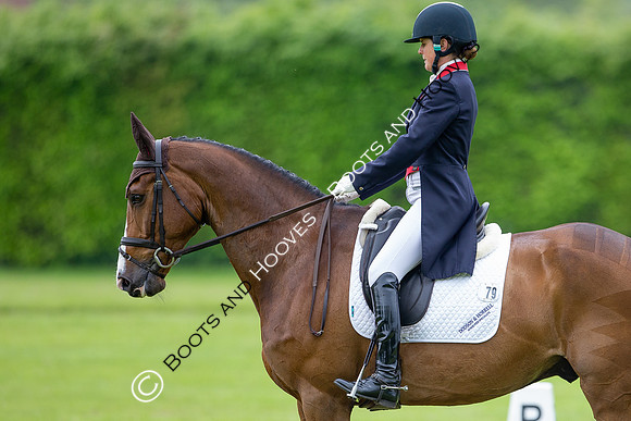 Houghton International