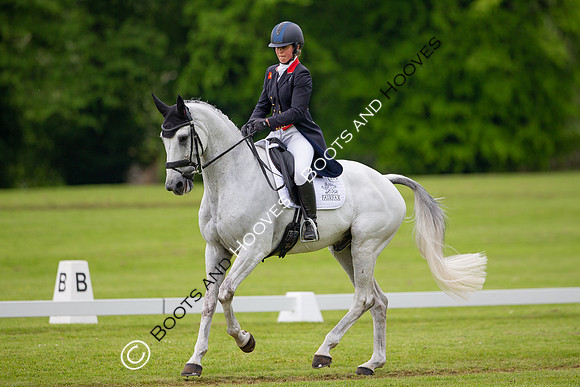 Houghton International