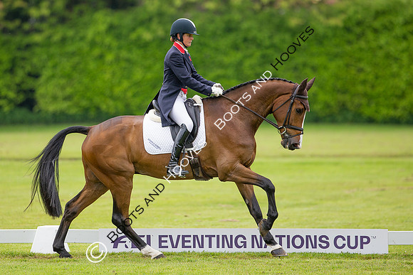 Houghton International