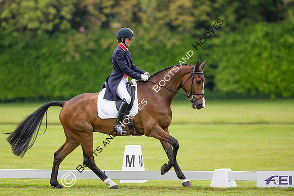 Houghton International