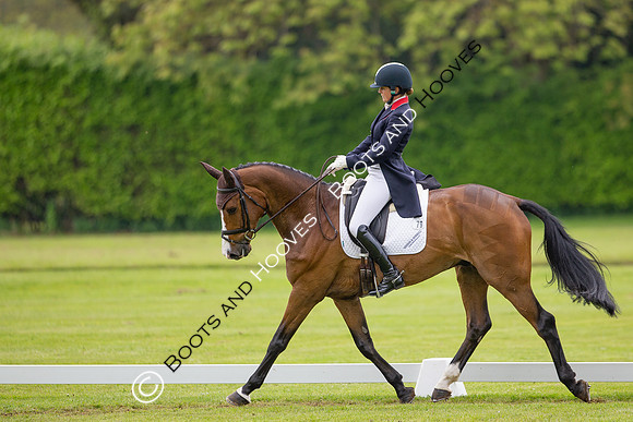 Houghton International