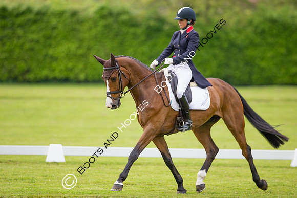 Houghton International
