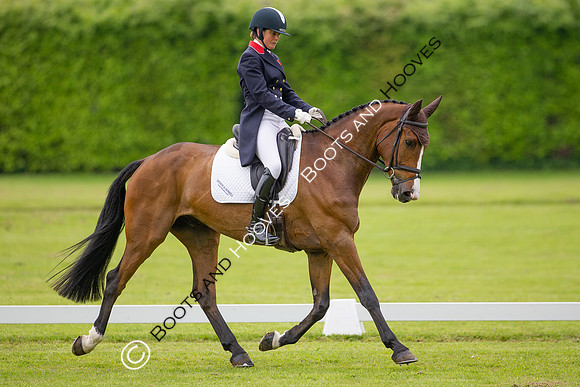 Houghton International