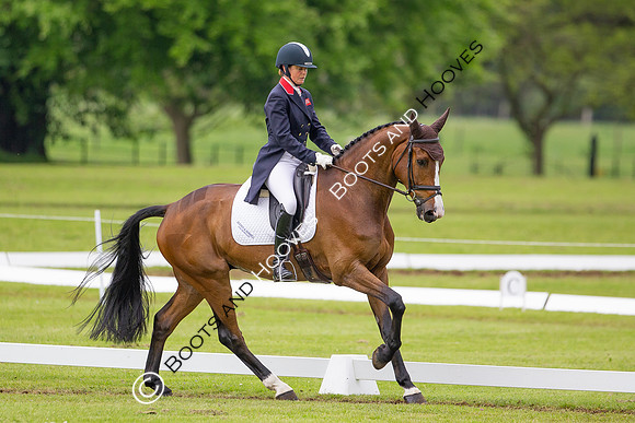 Houghton International