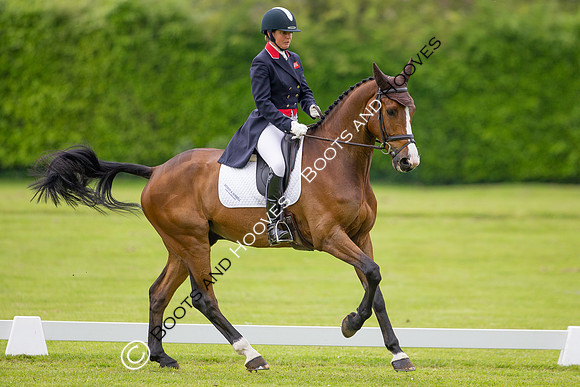 Houghton International