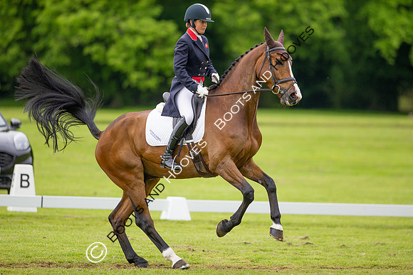 Houghton International