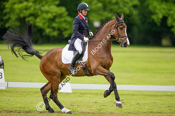 Houghton International