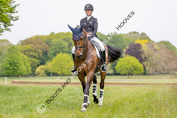 Houghton International
