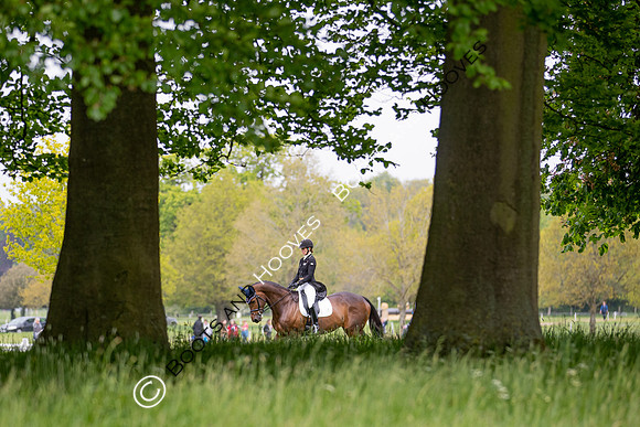 Houghton International