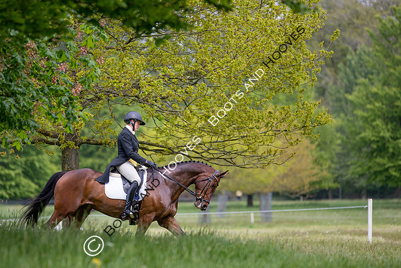 Houghton International