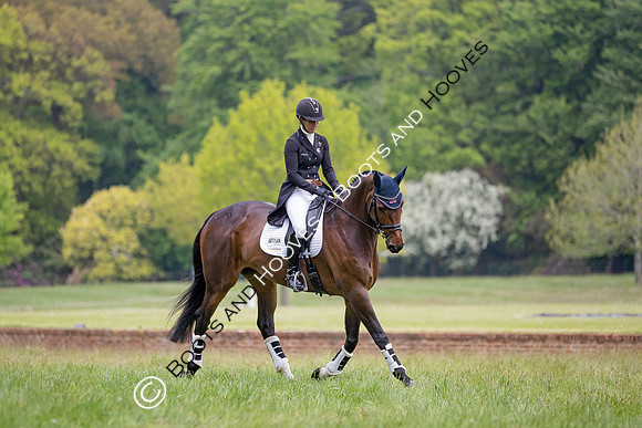 Houghton International