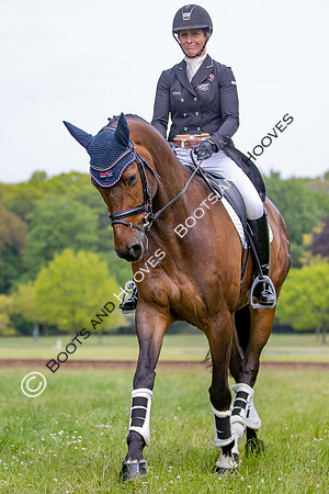 Houghton International