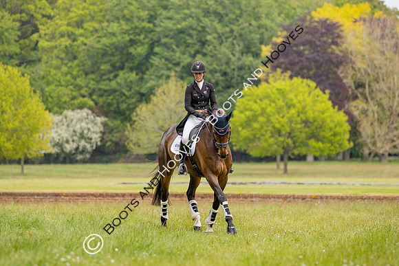 Houghton International
