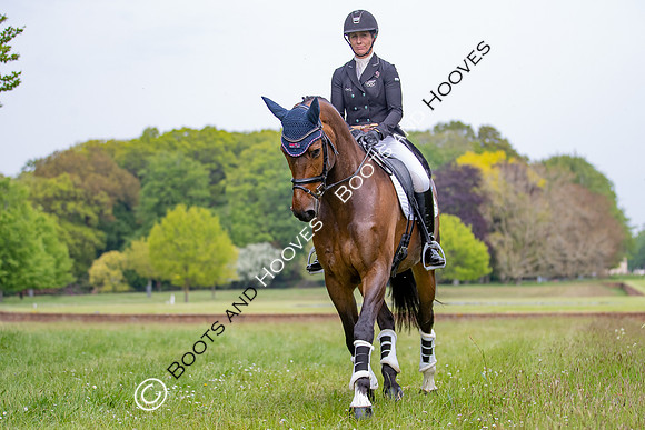 Houghton International