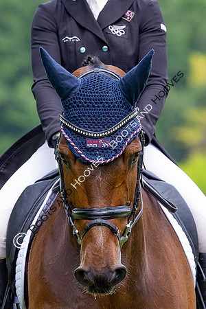 Houghton International