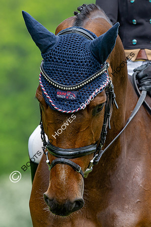 Houghton International