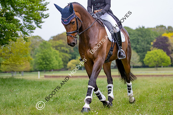 Houghton International
