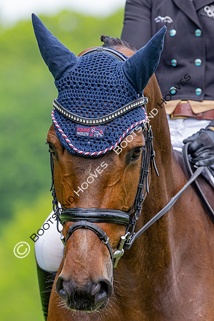 Houghton International