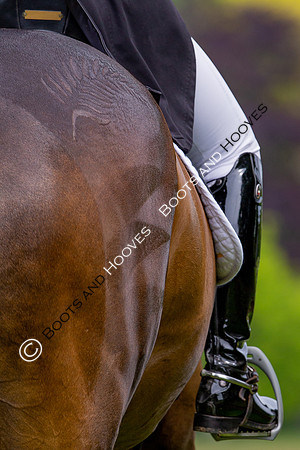Houghton International