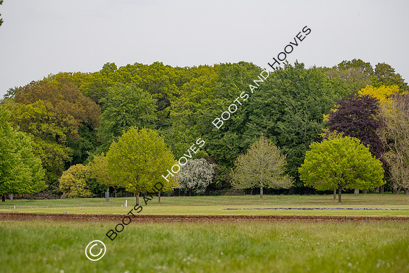 Houghton International
